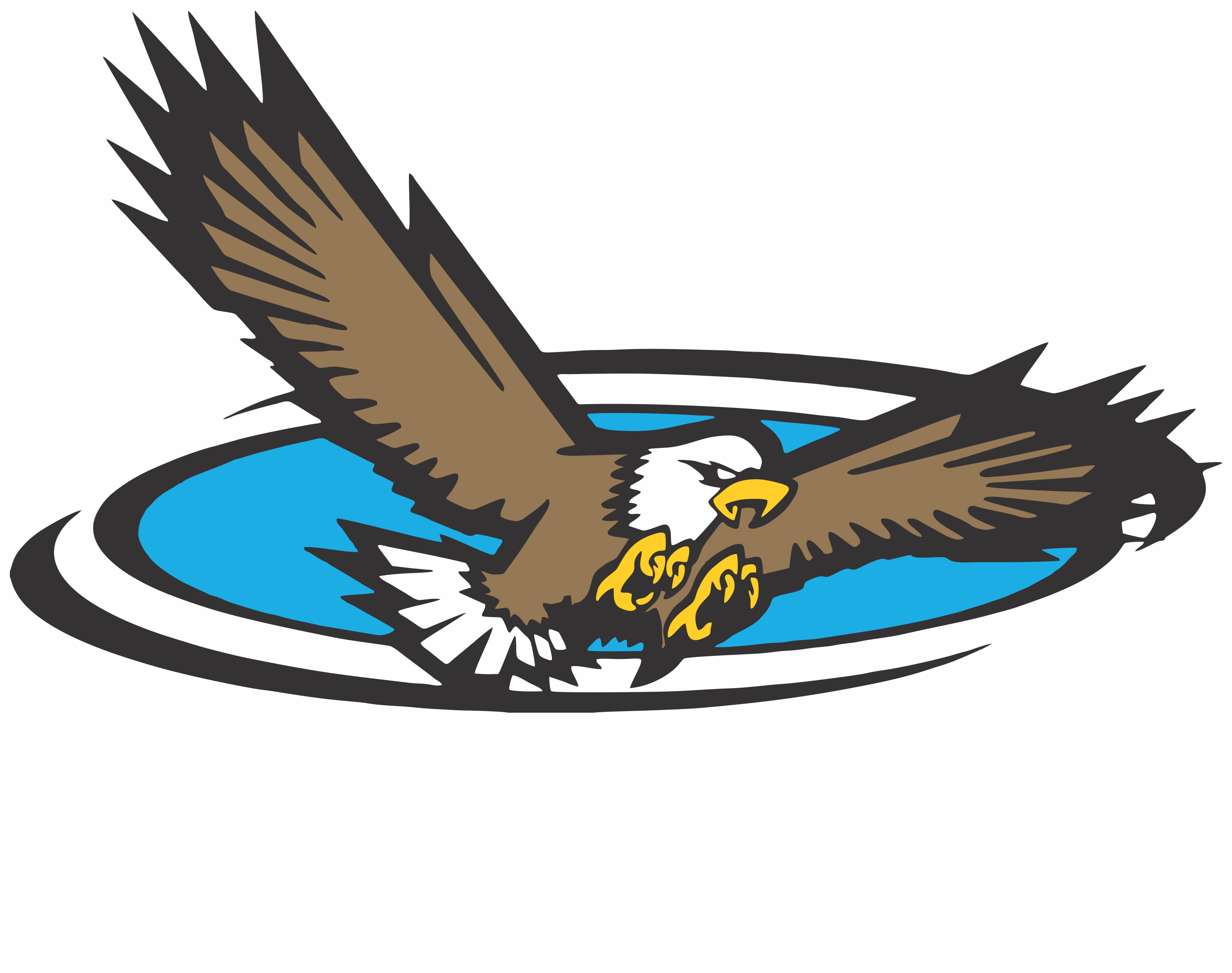 DPC 